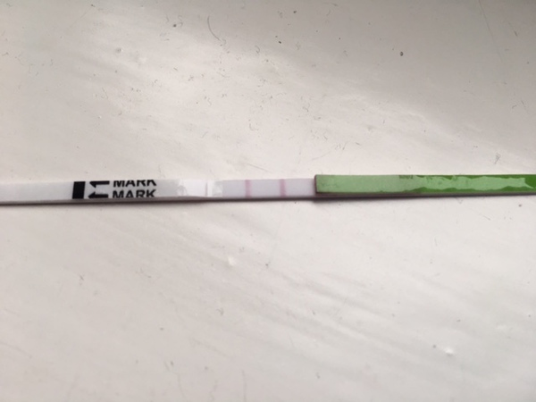 Positive opk?