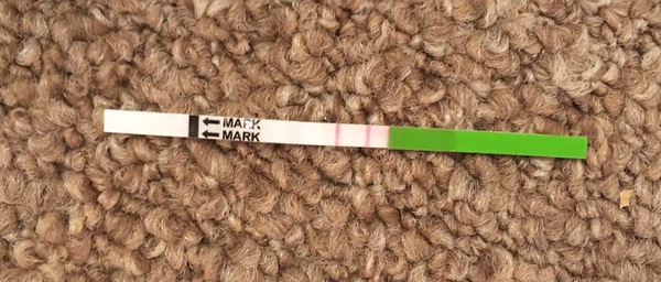 Positive OPK?