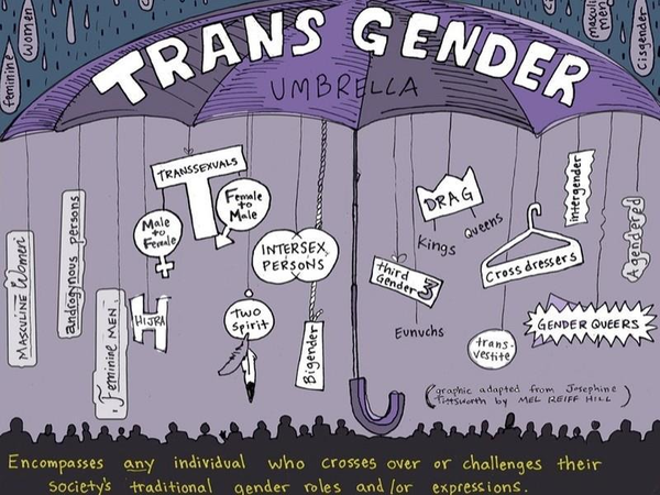 General Trans Discussion Thread