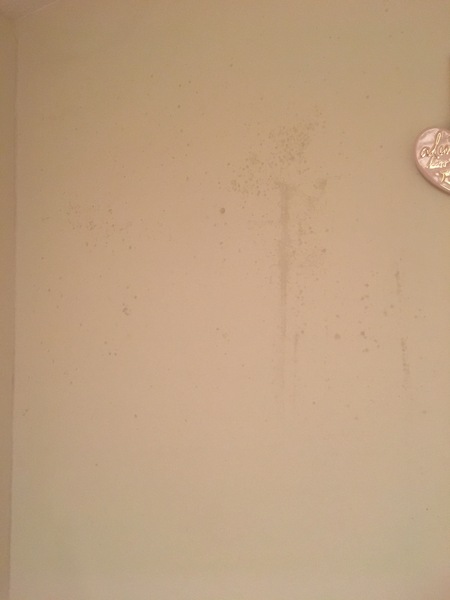 Condensation damp
