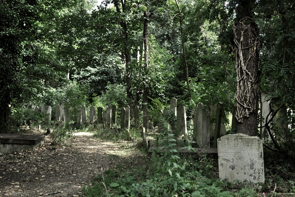 To let my toddler play in a graveyard