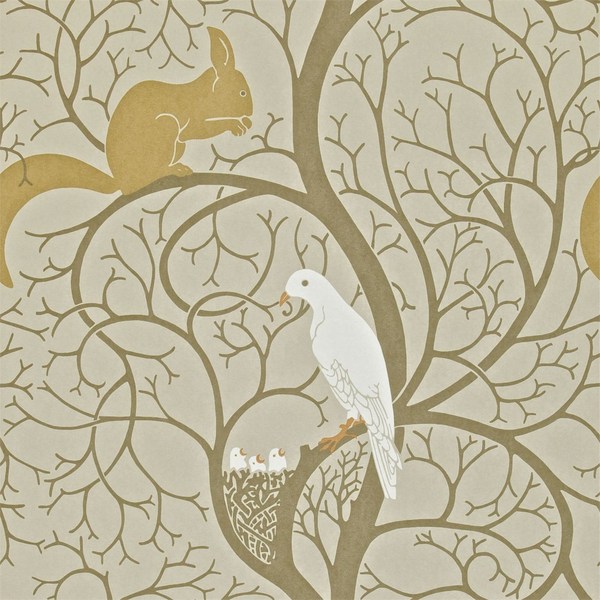 Which wallpaper? Pics