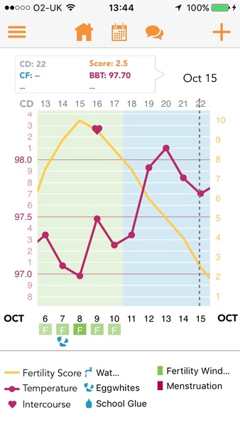 Did I ovulate on CD17?