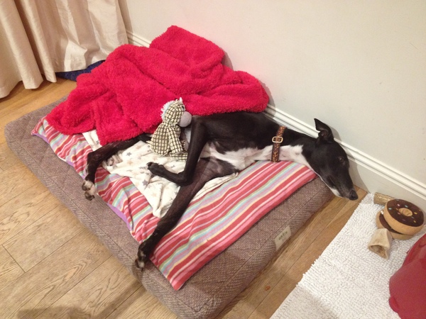 Zombie's Cancer Journey: The Beginning of the End