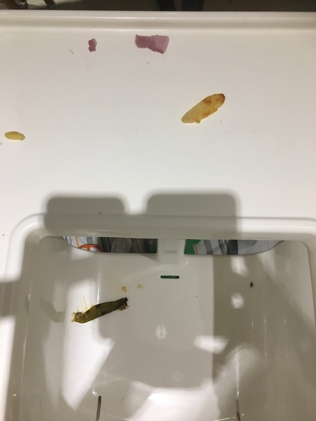 5:2 Thread No. 66: If you shaved legs & pits, but the scales still screamed "Ow ! Get off !" then join our friendly group for a new approach.