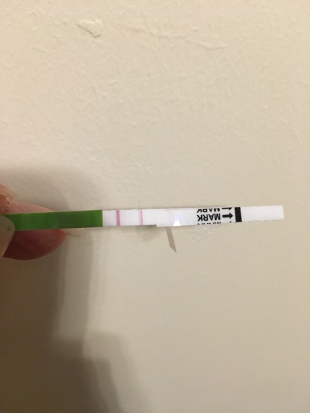 10+ months TTC