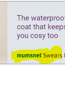Matthew Wright "foul mouthed, illiterate harridans"