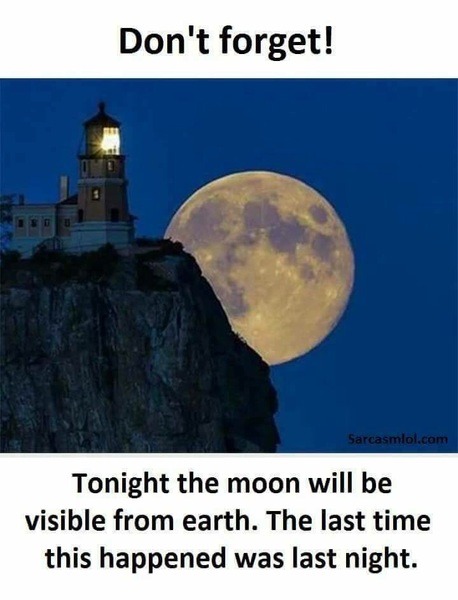 The Brexit Arms (temporary till the licensee get here)