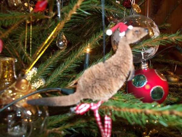 Do you have a themed tree or an 'anything goes' tree?
