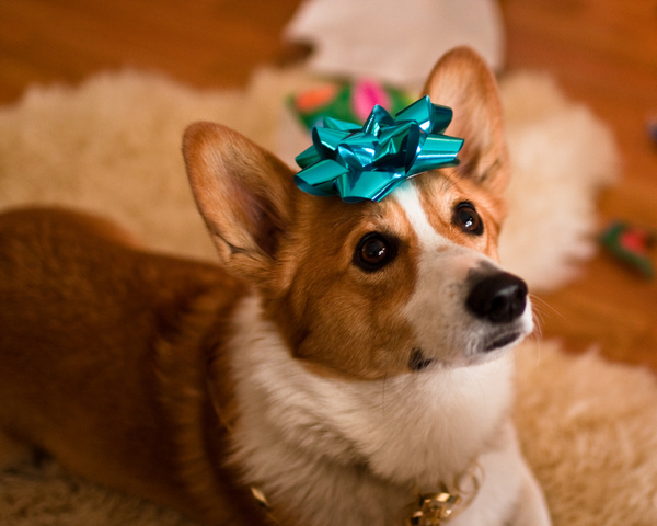 Someone has nicked my username!