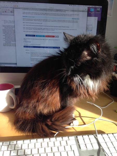 In Crepey Remembrance Of CremCat Past