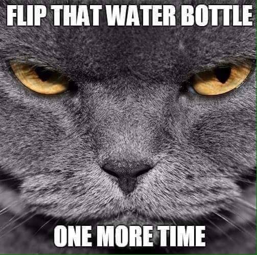 Think if I hear another water bottle land on the floor I will explode
