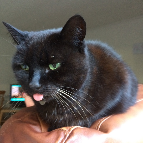 Show me your pussy!