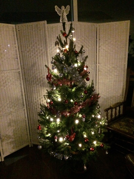 Do you have a themed tree or an 'anything goes' tree?