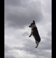 Someone has nicked my username!