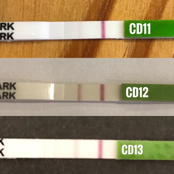 First time ttc - thread four