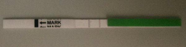 PCOS, Periods, Provera & Pals. Plus All The Bits In between.