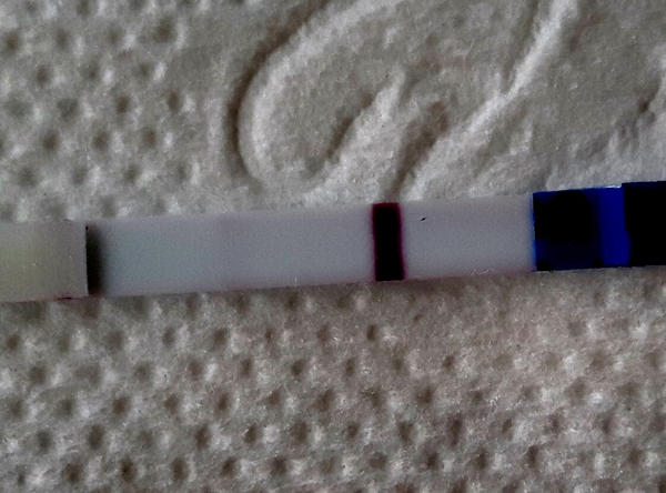 Looking to hear from ladies who came off the cerazette/cerelle pill