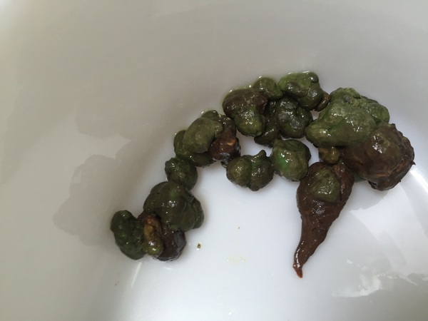 Green poo!?! Warning graphic pic!!!!