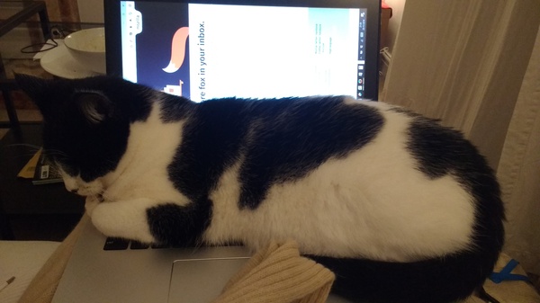 Surely that can't be comfortable?