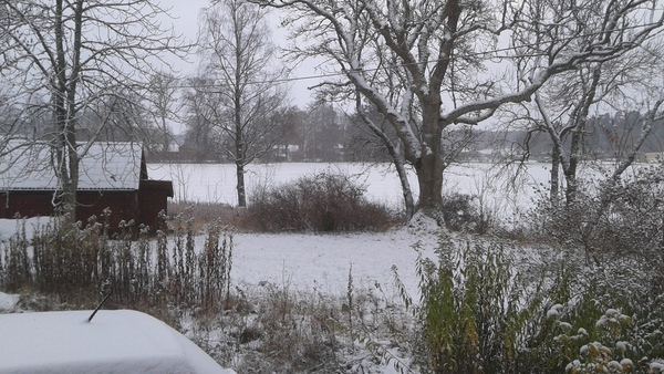 Swagger In  Thread 139 - Yesterday was Halloween, Team A agree that this man can give them the willies any time he likes