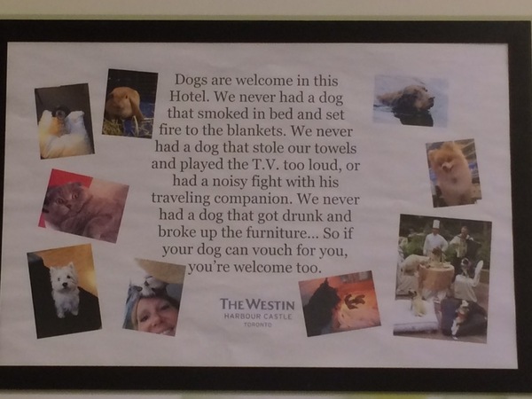 To wonder why dogs are suddenly welcone at loads of hotels?