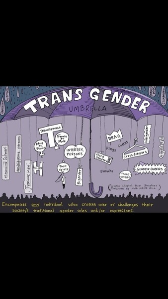 To not really understand why some people are so upset by transwomen using public toilets?