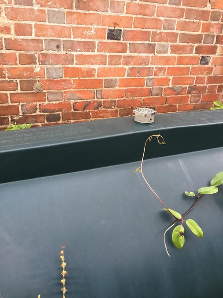 Oil tank missing air breather cap - can I buy a replacement?