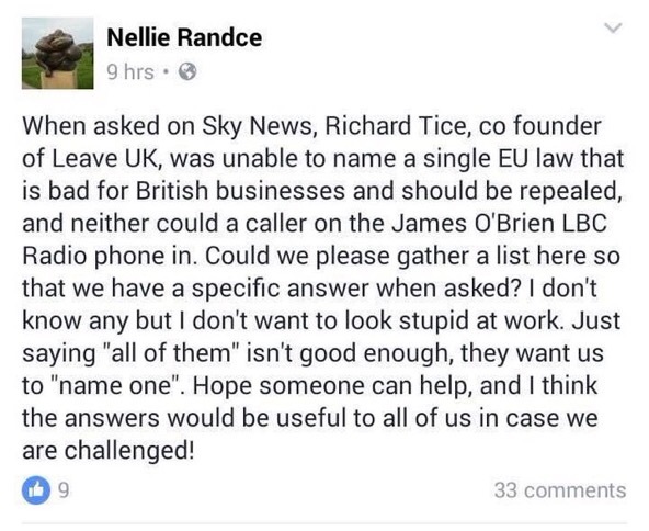 The Brexit Arms goes forth!  All welcome. Leavers, Remainers, Couldn't give a Tossers, & openly gay athletes.