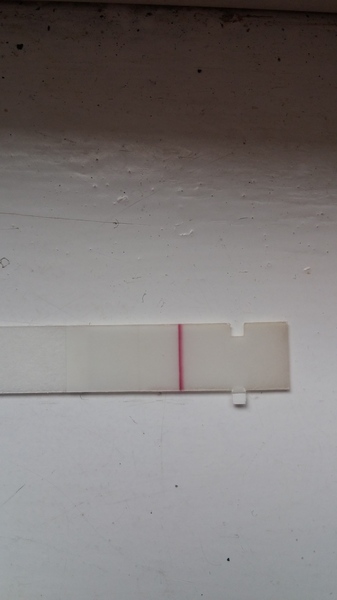very very faint line on pregnancy test