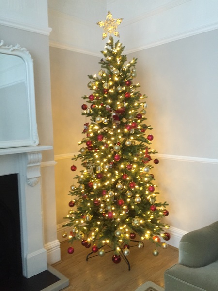 To ask those who have artificial Christmas Trees...why?