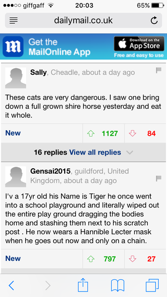 Bengal "brutes" in Mail online