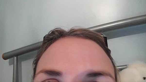 Can someone please talk to me about eye brows I'm so confused....