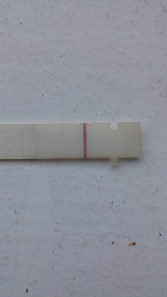 very very faint line on pregnancy test