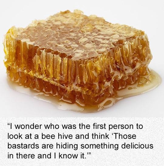 The Historical Ponderings Society