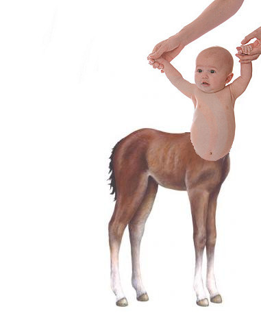 Someone has nicked my username!