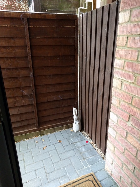 What can I do with this corner? which plant?