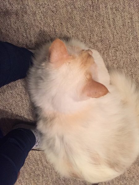 BOO! The Freaky Frugaleers prepare for Halloween and beyond. All welcome!