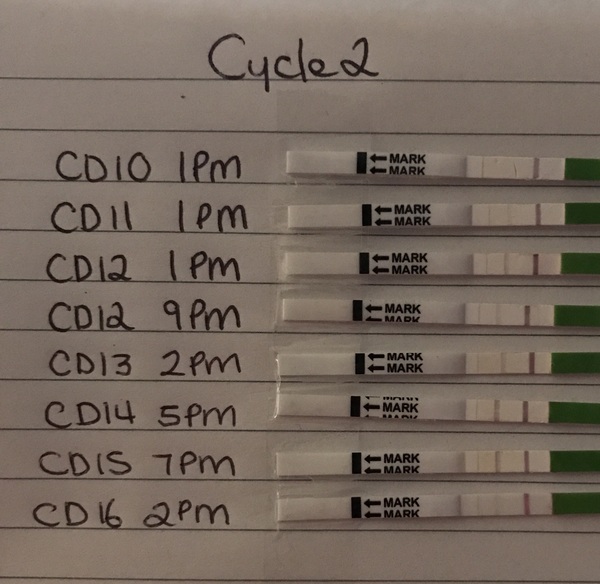 First time ttc - thread four