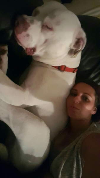Family gathering, niece doesn't like dogs.