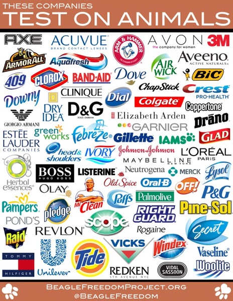 Cruelty free beauty