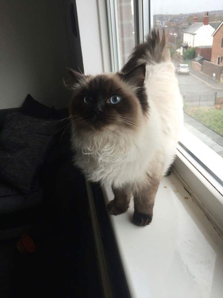 We're adopting!