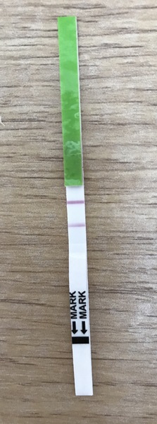 Am I out this cycle? Confusing positive OPK 13 DPO HPT BFN,