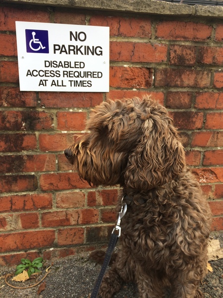 to remove the disabled parking signs?