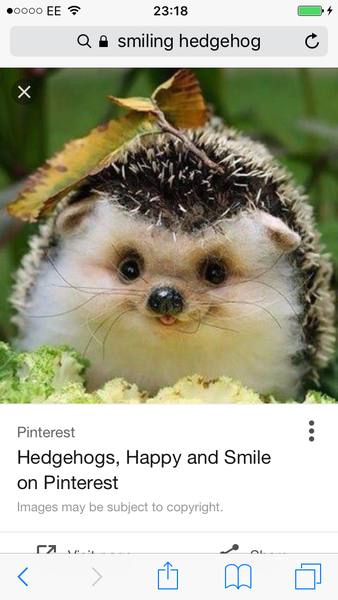 Zombie's Cancer Journey: The Beginning of the End