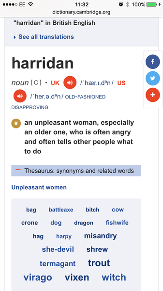 Matthew Wright "foul mouthed, illiterate harridans"