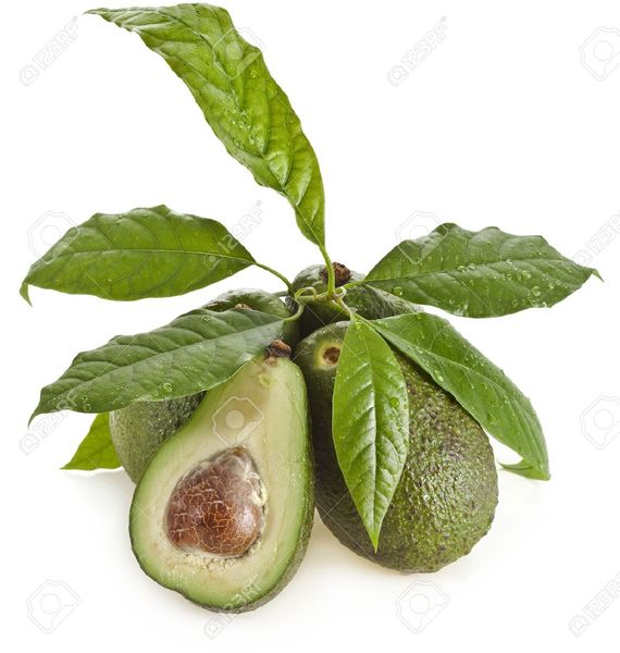 Someone has nicked my username!