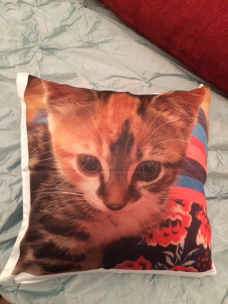 Thread 16 - fancy having a mulled fanny