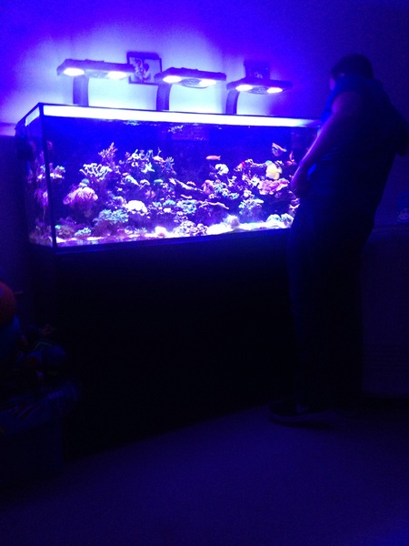 Marine tank wife