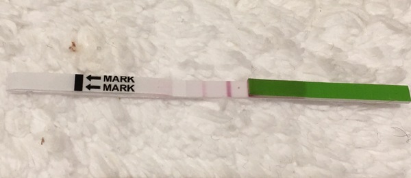 Positive OPK?